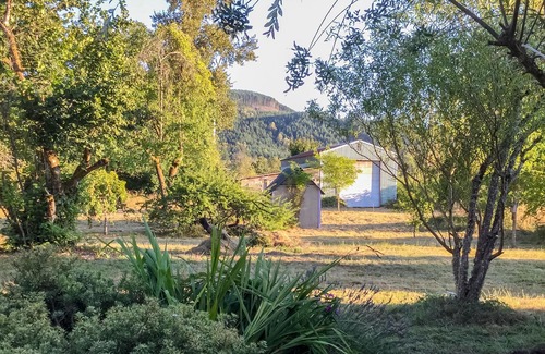 Thurston House | Lovely home with pasture views, private patio, & full kitchen!