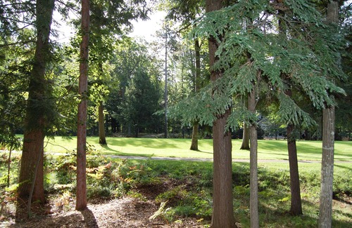 Glen Arbor House | Lovely, Newer Home In Downtown Glen Arbor - 3B/2.5B!