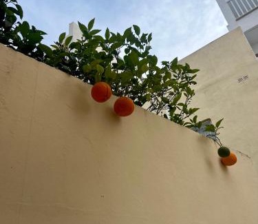 Tal-Ghoqod House | Lovely room, in shared house perfect location