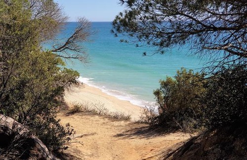 Alfa-Mar Apartment | Lovely Studio Marta on the beach Falesia, Albufeira