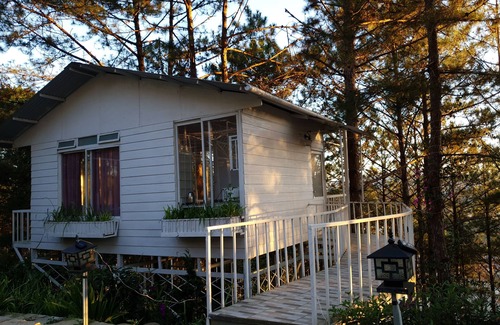Da Lat House | Lovely Treehouse with 2 queen beds, restroom, small kitchen, balcony forest view