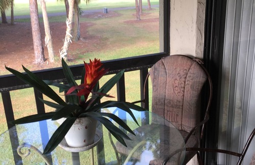 The Meadows Condo | Lovely views from the lanai in this 2BR 2BA condo with heated community pool