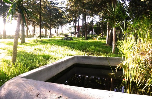 Cassano delle Murge Villa | Lovely Villa in Apulia Countryside and fast Wi-Fi