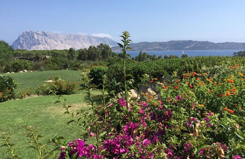 San Teodoro Villa | Lovely Villa with great view of the marine park of Tavolara and Molara Islands.