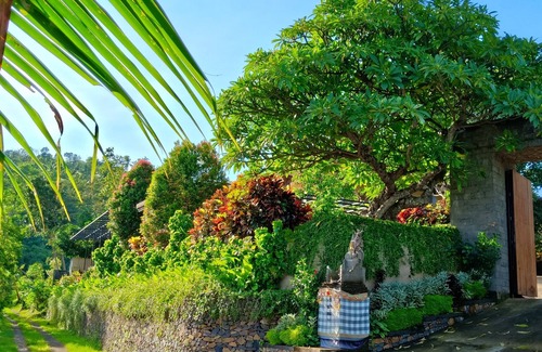 Kalibukbuk Villa | Lovina hillside & ocean view villas