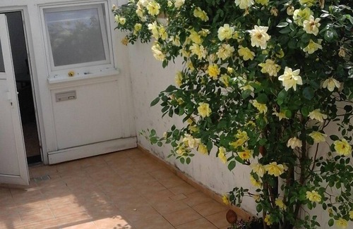 Mittelheim Apartment | Lovingly furnished 70 m2 apartment for 2-4 people in Oestrich-Winkel