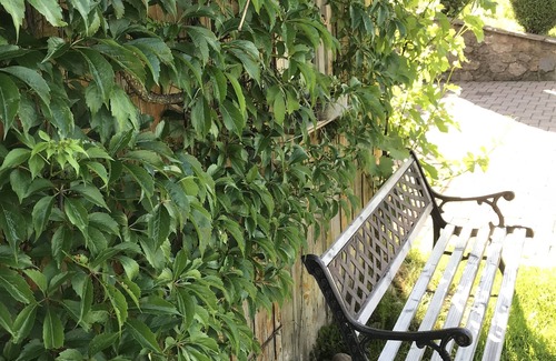 Sankt Maergen Apartment | Lovingly furnished vacation apartment "Auszeit" in idyllic St. Märgen