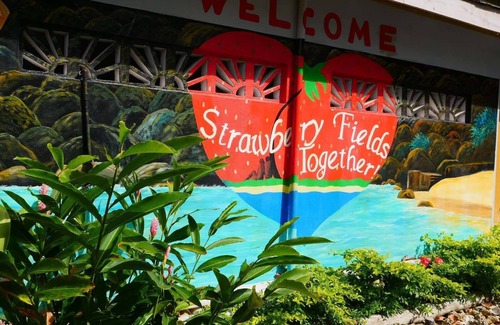 Robins Bay Cottage | Low, Low Rate, Very Affordable Cottage on Private White Sand Beach
