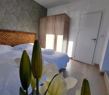 Bejar House | LR BÉJAR JARDíN