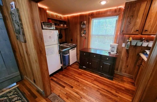 Harrison Cabin | Lucky Bear Lodge. Secluded Cabin in the Woods, Beach access. Pet friendly