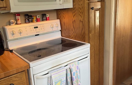 Edwardsburg House | Lucky Lake Life—20 minutes from Notre Dame!
