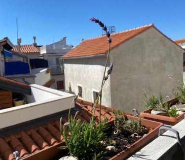 Piran Apartment | Lucy Apartment Piran-Punta