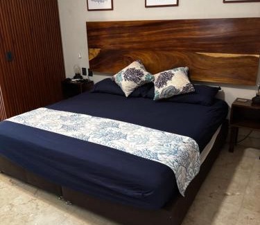 Troncones Apartment | Lujoso Studio Frente al Mar