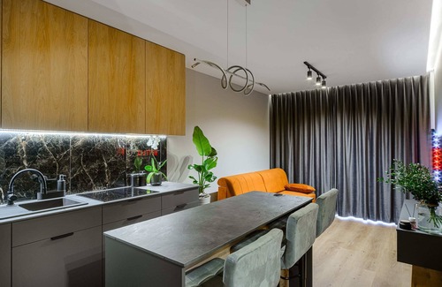 Lodz Apartment | Lumina luxury apartment with garden