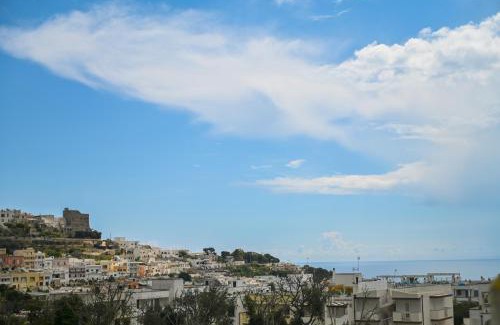 Castro Apartment | Lupino House