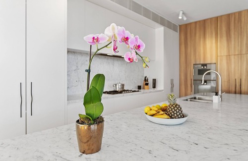 Clunes Villa | Luxe Pool Villa private plunge pool. PET on request. No Kids. Sleep 2 people.