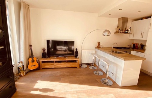 Spaarndammer en Zeeheldenbuurt Apartment | Luxurious and cozy apartment at the Westerpark