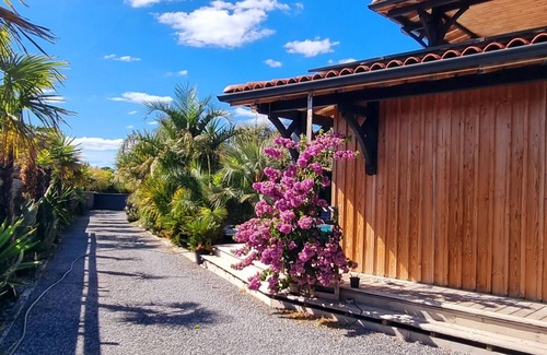 Lanton Villa | Luxurious new villa with all comfort Cassy Bassin d'Arcachon