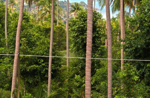 Ko Pha-ngan Villa | Luxurious PRIVACY&INDULGENCE - Brand New and Stunning, 2-4 bedroom options