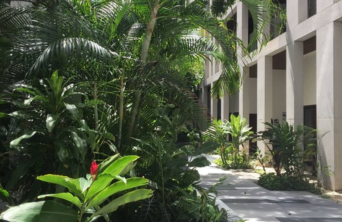 Zazil-ha Condo | Luxurious Quiet Ocean View - by 5th Ave.,3 min to beach,5th floor, 4 pools, WiFi