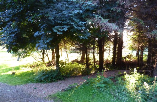 Ballyconnell Cabin | Luxurious Riverfront Log Cabin set in a tranquil woodland location