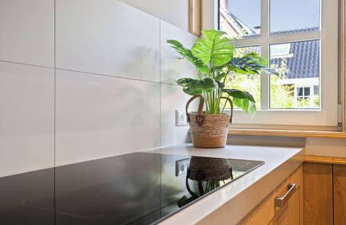 Triemen House | Luxurious tiny house with jacuzzi: unwind in beautiful Friesland nature