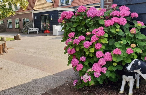 Oudeslius Apartment | Luxury 8 pers. apartment with Finnish sauna dog friendly