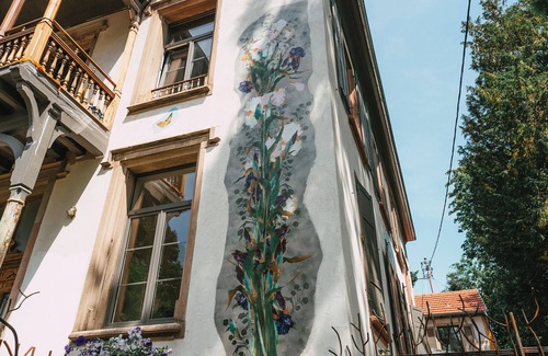 Guebwiller Apartment | Luxury and unique apartment, 1st floor of a 19th century mansion