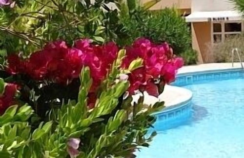 Paphos Apartment | Luxury apartment, UK TV and free WIFI. Near beach and restaurants, pool view