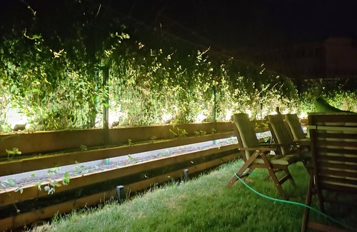 Sariyer Apartment | Luxury Apartment with Garden - Next to Forest