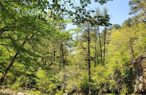 Ranger Cabin | Luxury Chic Cabin Nestled in Talking Rock Creek Resort