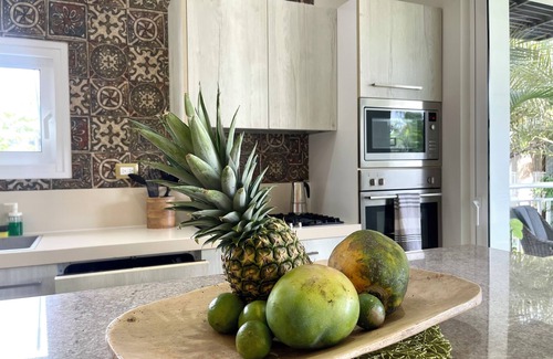 Las Terrenas Apartment | Luxury Chic Playa Bonita Beachfront.