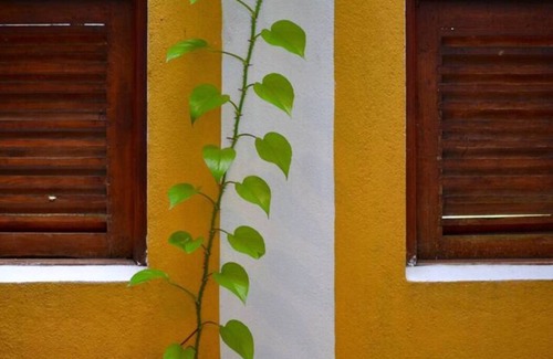 Thalawatugoda Villa | Luxury Colombo Escape- Spacious villa with landscaped gardens & library