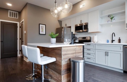 Ohio City Apartment | Luxury Condo 10 Minutes from First Energy Stadium C6