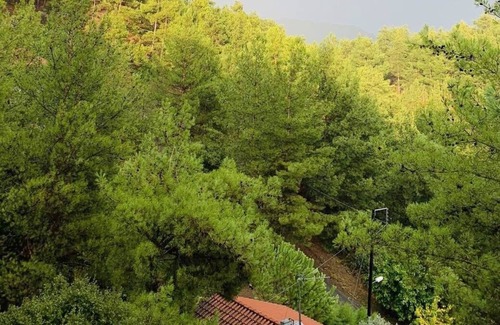 Vasa Koilaniou Villa | Luxury House-,Troodos Mountains,forest
