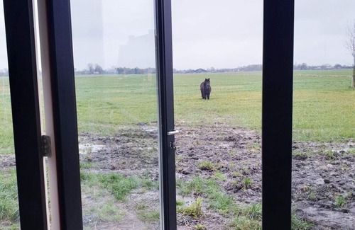 Vreeland Apartment | Luxury Farmstay – Sleep in Style Among the Cows