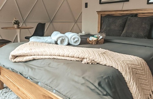 Comayagua Apartment | Luxury Geodesic Eco Dome in Nature: Exclusive Glamping in Tiny Pines Sky Dome
