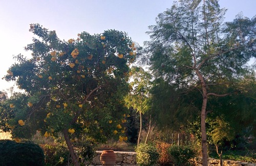 Neo Chorio Villa | Luxury Holiday Villa with Private Pool, Gym, WiFi & Lovely Sea & Mountain Views