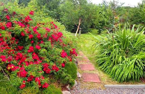 Sneem House | Luxury Home in exclusive Oysterbed with spectacular sea & mountain views. WiFi.