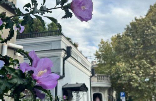 Chugureti Apartment | Luxury Home in Old Tbilisi with Terrace