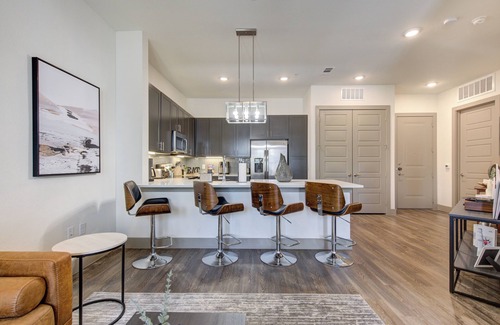 Conroe Apartment | Luxury Modern Art1-Bedroom Apt. Near Eateries, Theatre, and Patio Pool View.