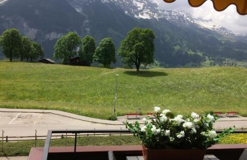 Grindelwald Apartment | Luxury, new - amazing views Grindelwald Eiger Jungfrau Mönch