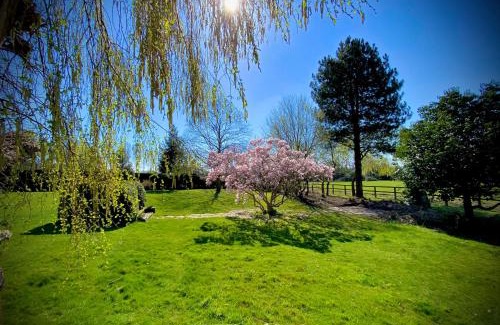 New Forest District Villa | Luxury New Forest Holiday Home with Pool and Hot tub