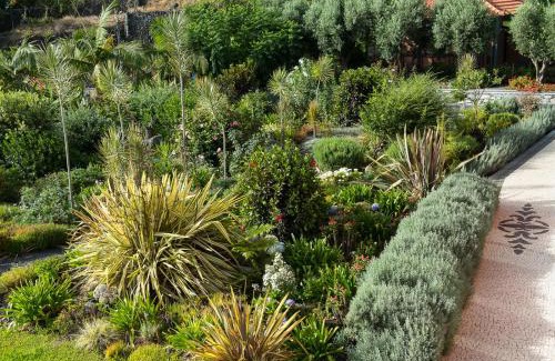 Arco da Calheta Villa | Luxury Ocean Front Villla