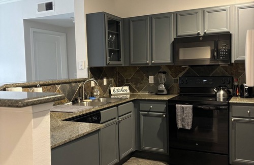 South Central Houston Condo | Luxury! Pool View! Great Location! Minutes from NRG Stadium!