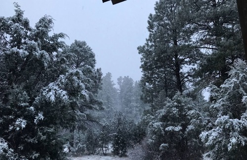 Show Low Cabin | Luxury/Privacy w/pine trees, 2 covered decks, free WiFi, DISH 250 package, 4 TVs