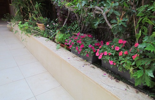 Ra'ananna Apartment | Luxury Rannana ground apartment with large garden
