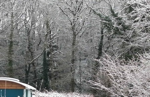 Holcombe Burnell Cabin | Luxury Shepherds Hut Retreat in Devon near Exeter & Dartmoor. Views into woods.