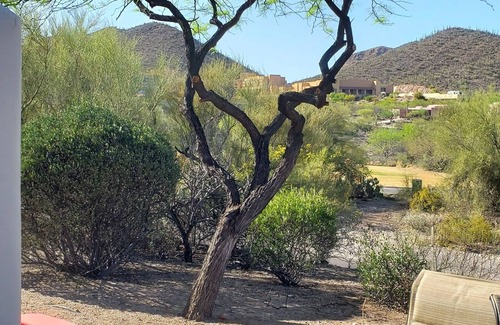 Starr Pass Villa | Luxury Starr Pass Golf Resort Desert Getaway