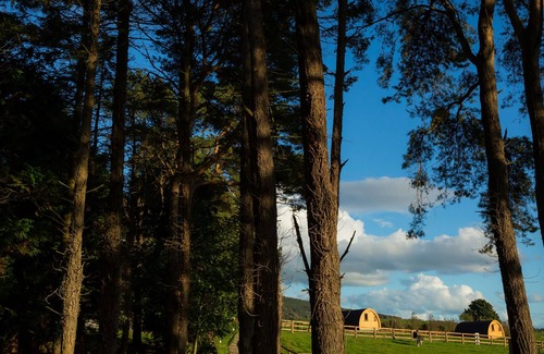 Broadford Cabin | Luxury two-bed Glamping Pod in County Clare